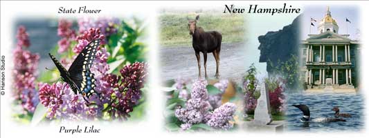 Purple Lilac and NH Collage #1